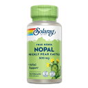 ソラレー ウチワサボテン(ノパルサボテン) 500mg カプセル 100粒 Solaray Prickly Pear Nopal Leaf VegCap