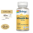 ソラレー 2段階タイムリリース ビタミンB6 100mg カプセル 60粒 Solaray Vitamin B6 Two-Stage Timed-Release VegCap その1