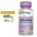 ソラレー 秋ウコン(ターメリック)エキス 600mg カプセル 30粒 Solaray Turmeric Root Extract One Daily VegCap