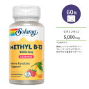 ソラレー メチル ビタミン B-12 5000mcg 60粒 チュアブル レモンラズベリーフレーバー Solaray Methyl B-12 Lemon-Raspberry 60 Lozenges サプリメント ビタミンB B12 レモン ラズベリー 美味しい