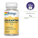 ソラレー アスタキサンチン 4mg 60粒 ソフトジェル Solaray Astaxanthin サプリメント カロテノイド ヘマトコッカスプルビアリスエキス