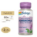 ソラレー フォルスコリエキス 385mg カプセル 60粒 Solaray Forskohlii Root Extract VegCap