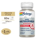 【お得クーポンあり】スーパーマルチドフィルス24 (プロバイオティクス24株300億配合 乳製品フリー) 60粒Super Multidophilus 24, ...