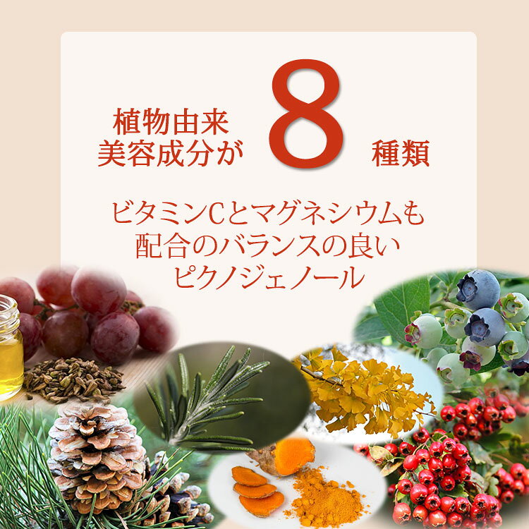 ソースナチュラルズ ピクノジェノールコンプレックス 30粒 タブレット Source Natu...
