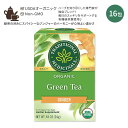 トラディショナルメディシナル オーガニック グリーンティージンジャー ティーバッグ 16包 24g (0.85oz) Traditional Medicinal...