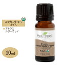 プラントセラピー 100 ピュア オーガニック エッセンシャルオイル アトラスシダーウッド 10ml (1 / 3fl oz) Plant Therapy Organic Atlas Cedarwood Essential Oil 100 Pure 有機 精油 天然 アロマ