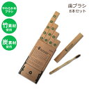 バンブーズルド 炭 竹 歯ブラシ 大人用 ソフト エコ 8本セット Bamboozled Bamboo Toothbrush Charcoal Infused BPA Free Soft Bristles