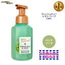 oX&{fB[NX zCgeB[&Z[W WFgtH[~Onh\[v 259ml (8.75floz) Bath&Body Works White Tea & Sage Gentle Foaming Hand Soap Ό Ƃ VAGLX AG r^~E  tOX A