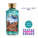 バス&ボディワークス クリスプモーニングエア シャワージェル 295ml (10 fl oz) Bath&Body Works Body Shower Gel ボディソープ ボディシャンプー ボディ石鹸 保湿 乾燥