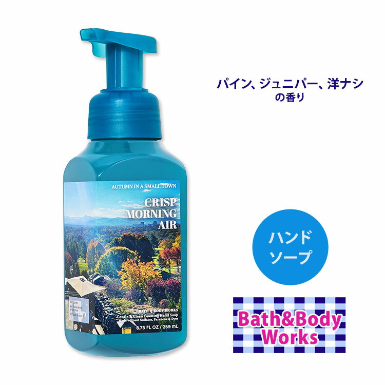 oX&{fB[NX NXv[jOGA nh\[v 259ml (8.75 fl oz) Bath&Body Works Body Hand Soap Ό 􂢐Ό t ێ