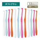 パテライ タフトブラシ 12本入 Patelai Interdental Brushes Tufted Toothbrush 歯間ブラシ エンドタフト テーパートリム 歯みがき 隙間 前歯 奥歯 歯垢 デンタル お口ケア