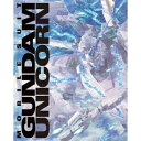 【新品】1週間以内発送 機動戦士ガンダムUC Blu-ray BOX Complete Edition RG 1/144 ユニコーンガンダム ペルフェクティビリティ付属版 初回限定生産 (Blu-rayDisc)
