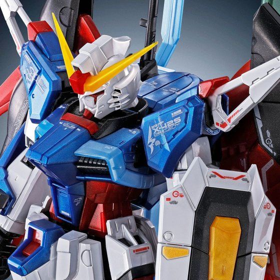 【新品】7月入荷次第発送予定　RG 1/144 デスティニーガンダム チタニウムフィニッシュ　機動戦士ガンダムSEED DESTINY 組み立て式プラモデル シード デスティニー ガンプラ アニメ 映画 ロボット