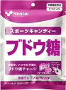 【5月9日20時から 最大3%OFFクーポン&P最大10倍】 ケンタイ Kentai スポーツキャンディー 12袋セット ブドウ糖 グレープ味 72g ビタミン...