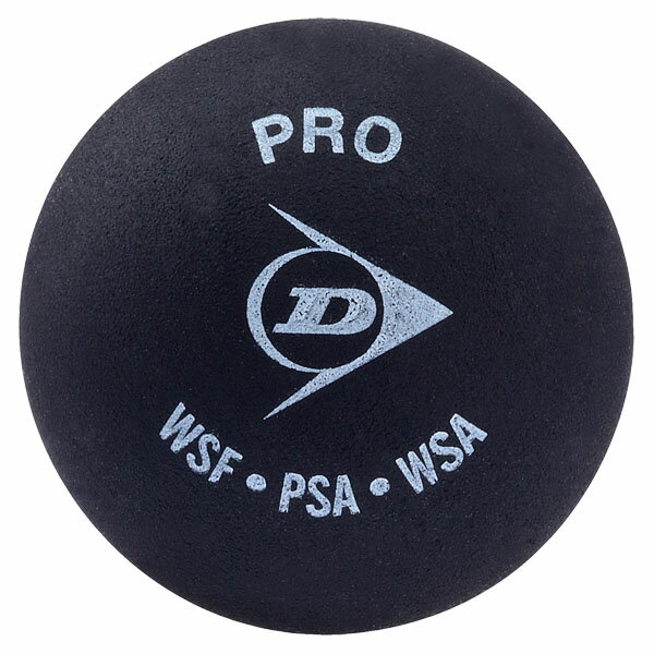 【5月30日限定 P最大10倍】 DUNLOP ダンロップテニス PRO XX DA50036