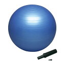 【全品3%OFFクーポン&P最大10倍!6/3 20時から】 ハタ HATAS バランスボールセイフティー55cm ポンプ付 バランスボール 体幹 トレーニング...