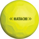 【GW期間限定5月6日まで!P最大10倍】 ハタチ HATACHI シュートボール グラウンド ゴルフ 忠実構造ボール BH3460 45