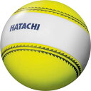 【GW期間限定5月6日まで!P最大10倍】 ハタチ HATACHI ナビゲーションボール BH3851 45