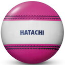 【GW期間限定5月6日まで!P最大10倍】 ハタチ HATACHI ナビゲーションボール BH3851 64