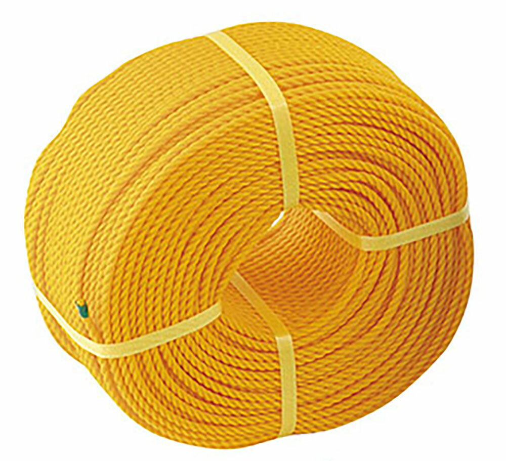 【11月30日 最大4％OFFクーポン＆P最大10倍】三和体育 グラウンドロープ3mm×200m ロープのみ 黄 学校 ..