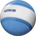 【GW期間限定5月6日まで!P最大10倍】 ハタチ HATACHI ナビゲーションボール BH3851 27