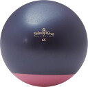 【GW期間限定5月6日まで!P最大10倍】 ハタチ HATACHI ジムボールStayPlus 65cm NH3621