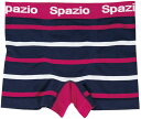 【GW期間限定5月6日まで!P最大10倍】 SPAZIO スパッツィオ フットサル ボーダースポーツパンツ AC0081 21