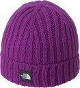 【GW期間限定5月6日まで!P最大10倍】 ザ・ノース・フェイス THE NORTH FACE アウトドア ベビーカプッチョリッド メンズ レディース Baby...