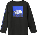 【GW期間限定5月6日まで!P最大10倍】 ザ・ノース・フェイス THE NORTH FACE アウトドア ロングスリーブスリーブグラフィックティー キッズ L...