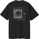 【最大4%OFFクーポン&P最大10倍!9/11 2時まで】 ザ・ノース・フェイス THE NORTH FACE アウトドア ショートスリーブレイズオブドーンティー メンズ レディース 半袖 グラフィックTシャツ トップス 速乾 コットン 綿100 普段着 バックプリント NT82530