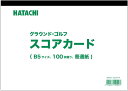 【GW期間限定5月6日まで!P最大10倍】 ハタチ HATACHI スコアカード BH6100