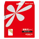 【GW期間限定5月6日まで!P最大10倍】 トアルソン Toalson テニス アスタリスク 125 ホワイト ソフトテニス 軟式テニス ストリング ガット シ...