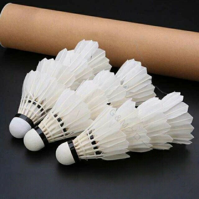 バドミントン シャトル 12個入り 1ダース ガチョウの羽根 強耐久性 練習用 ナイロン プラスチック コル..