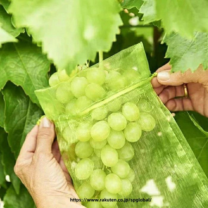 G&Mグローバルマーケットの果樹用防鳥ネット 果樹保護ネット 野菜果樹用ネット 防虫ネット 収穫用ネット 鳩よけネット 果物保護ネット 果実袋 果物袋 果実ネット ぶどう イチゴ 桃 いちご桃 びわ リンゴ 100枚入り｜アングル2