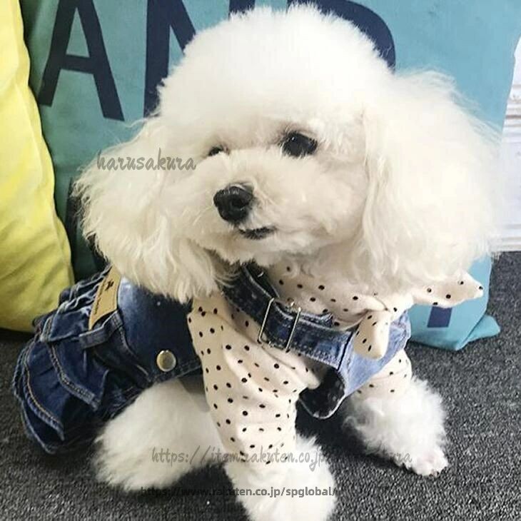 G&Mグローバルマーケットの犬 デニム 服 ペット服 お散歩 お出かけ デニムスカート ドッグウェア ワンピース ペットウェア つなぎ ウォッシュ加工 ワンちゃん服 犬用スカート カバーオール おしゃれ｜アングル2