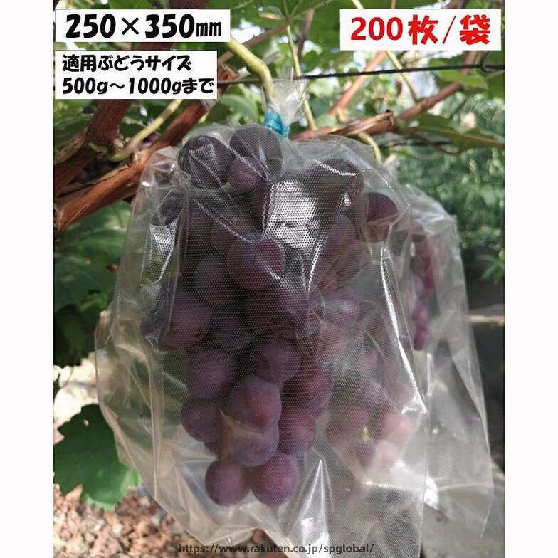 全透明微孔フィルム袋 ブドウ日光カバー袋 果物野菜ラップ袋 ブドウラップ袋 鳥や蚊の侵入を防ぐ 25*35mm 200枚/袋 ブドウラップ袋 25*35mm 200枚/袋 この果実袋は、特殊な製法により　1m2あたり約175,000個の微孔（約0.13mm）を施したポリプロピレンフィルム果実袋です。透明フィルム＋高密度ポリエチレン（乳白色）使用の為、袋の外より栽培状況が1目で確認できます。又害虫被害の軽減に威力を発揮。●ぶどう、梨　などに使用●袋の中で空気が動く⇒蒸れ防止効果●防虫と袋内発生虫⇒飛散防止効果●防鳥効果に実績⇒光乱反射効果●袋内丸見えで管理容易⇒透明効果サイズ:長さ約35cm、幅約25cm 6全透明微孔フィルム袋 ブドウ日光カバー袋 果物野菜ラップ袋 ブドウラップ袋 鳥や蚊の侵入を防ぐ 25*35mm 200枚/袋 ブドウラップ袋 25*35mm 200枚/袋 この果実袋は、特殊な製法により　1m2あたり約175,000個の微孔（約0.13mm）を施したポリプロピレンフィルム果実袋です。透明フィルム＋高密度ポリエチレン（乳白色）使用の為、袋の外より栽培状況が1目で確認できます。又害虫被害の軽減に威力を発揮。●ぶどう、梨　などに使用●袋の中で空気が動く⇒蒸れ防止効果●防虫と袋内発生虫⇒飛散防止効果●防鳥効果に実績⇒光乱反射効果●袋内丸見えで管理容易⇒透明効果サイズ:長さ約35cm、幅約25cm 6
