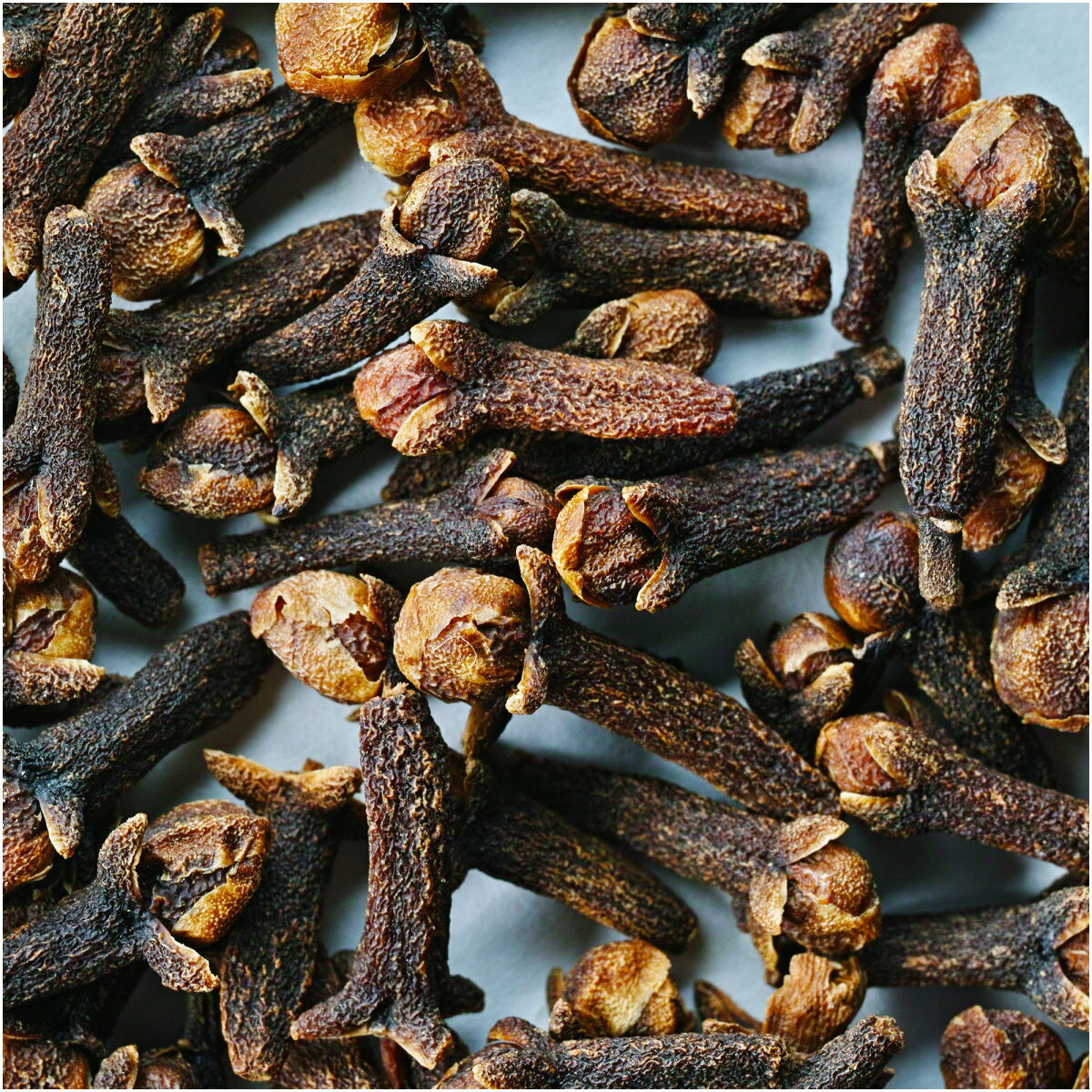 �������� �ۡ���100g ���ѥ��� Clove Whole