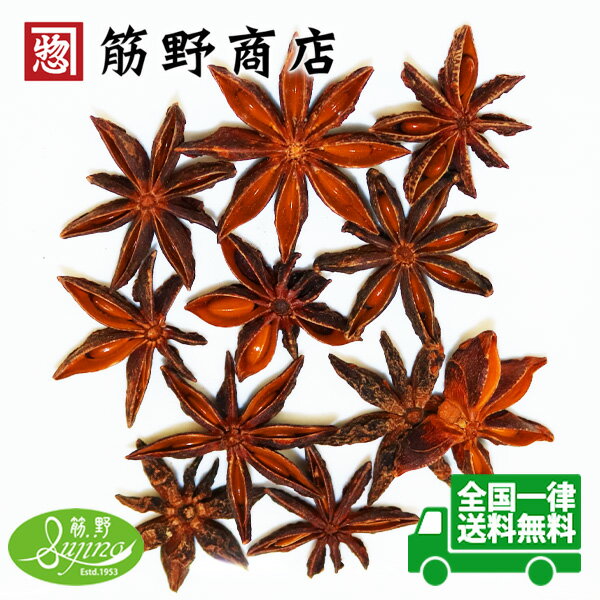 スターアニスパウダー 100g,Star Anise Powder,粉末,スターアニス,パウダー,八角,八角茴香,大茴香,スパイス,ハーブ,調味料,業務用,神戸スパイス,仕入,【ゆうパケット便送料無料】,MT