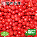 ナチュラル ピンクペッパー 50g マダガスカル産NonJAS原料を100％使用しています。 送料無料 ポイント消化 カラフルペッパー スパイス spice 香辛料