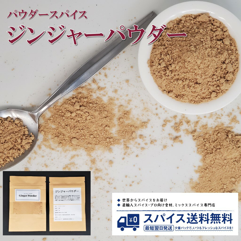 ジンジャーパウダー Ginger Powder パウダースパイス パウダー 粉末 粉 インド ジンジ ...