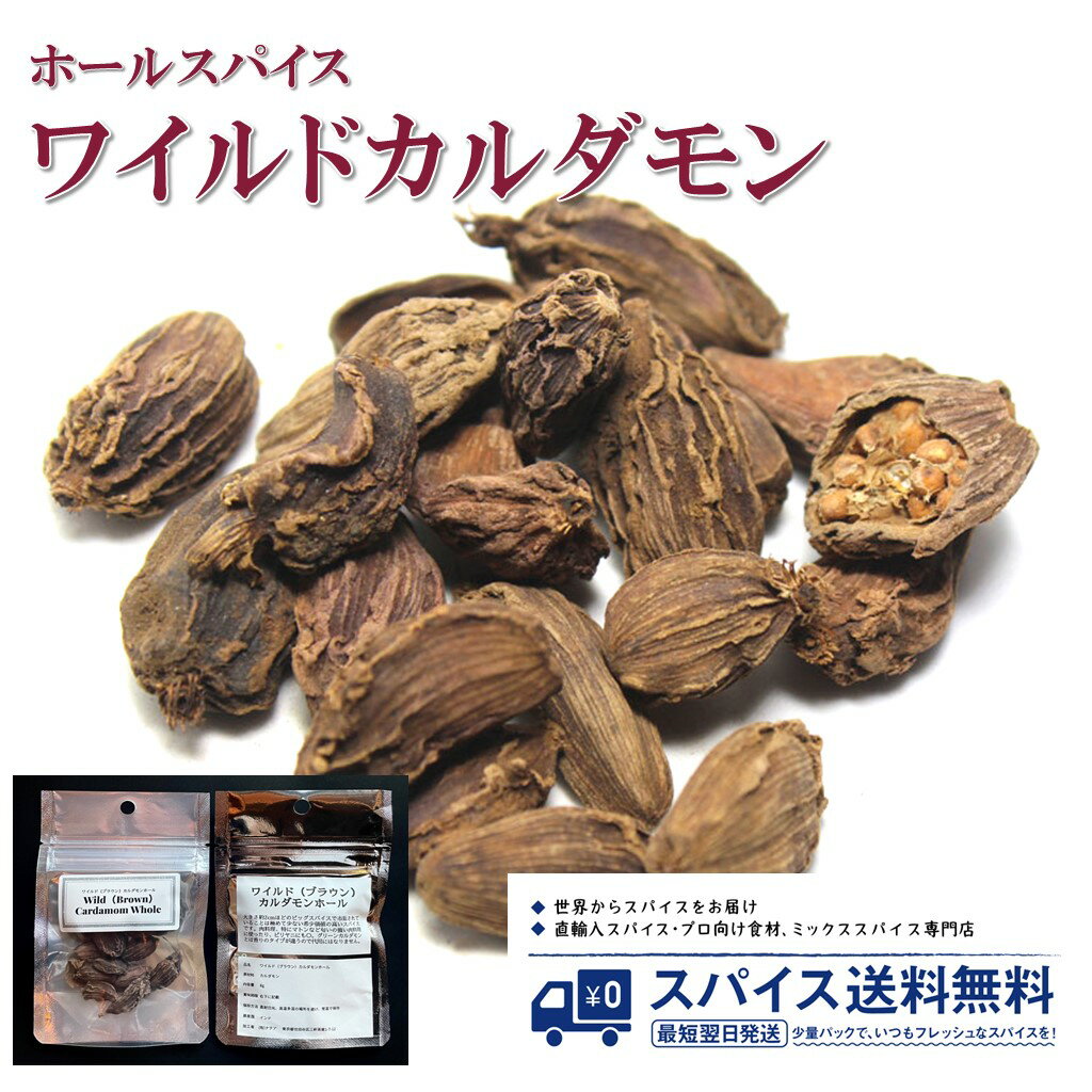 磻ɥ ֥饦󥫥 Wild Cardamon Brown Cardamon Seed Whole ۡ륹ѥ  ۡ  ޥȥ ӥ Spice ѥ  Ĵ̣ ̳  ̵ ëѥå