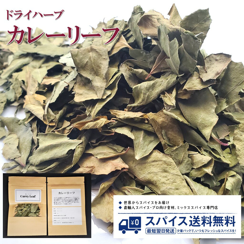 カレーリーフ カラピンチャCurry Leaf Karapincha ドライハーブ インド インド料理 スリランカ料理 Spice スパイス Herb ハーブ 香辛料 調味料 業務用 家庭用 送料無料 世田谷スパイスショップ