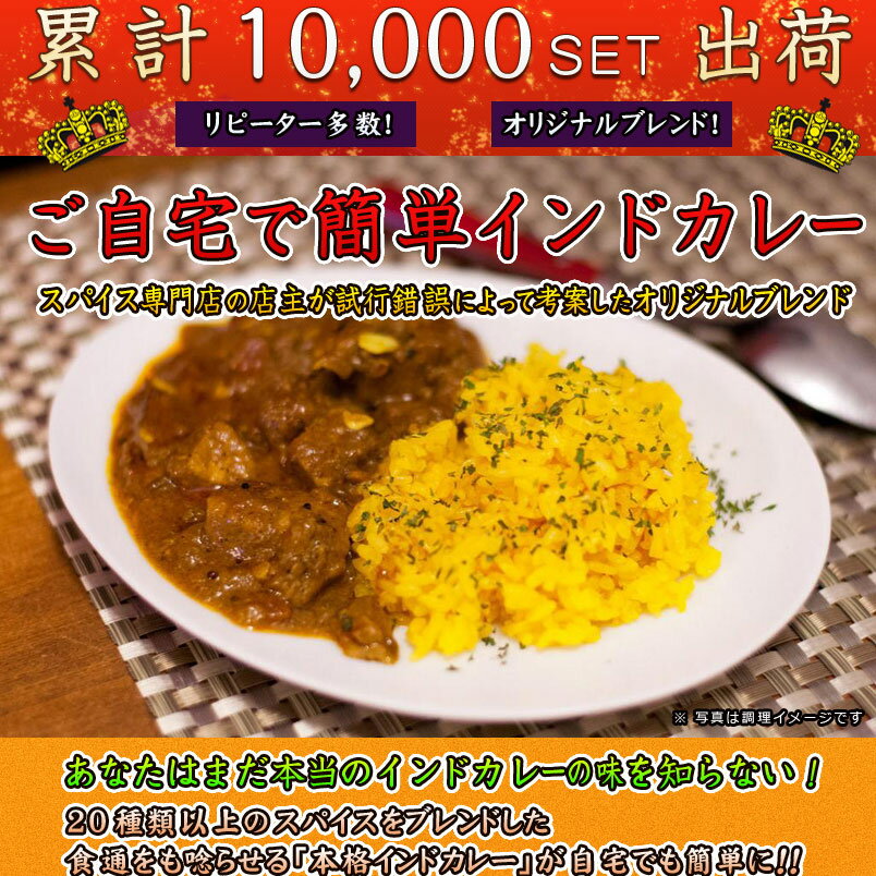 ミックススパイス オリジナルカレーミックス No.001/ スパイス 粉末 香辛料 カレースパイス カレー粉 カレーパウダー インドカレー チキンカレー 中辛 スパイス6-8皿分　