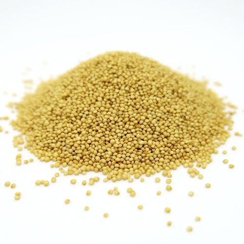 ޥ󥵥ʥۡ/Amaranth 100g ھʹ200gʲǥͥݥġ