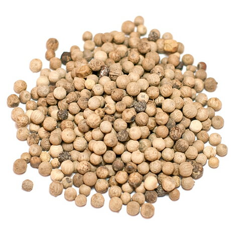 【業務用】ホワイトペッパー(ホールスパイス)【500g】/ スパイス 原型 香辛料 白胡椒 【3,980円以上で送料無料!】※ネコポス非対応