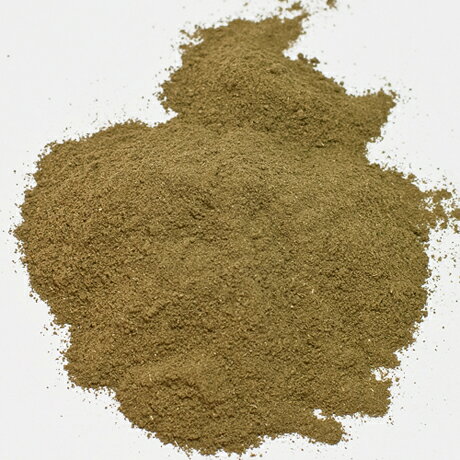 バジル(パウダースパイス)【100g】/ スパイス 粉末 香辛料 ハーブ 香草 薬草 ドライハーブ【商品合計200g以下でネコポス可能】 【3,980円以上で送料無料!】