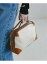 gianni chiarini alifaの画像