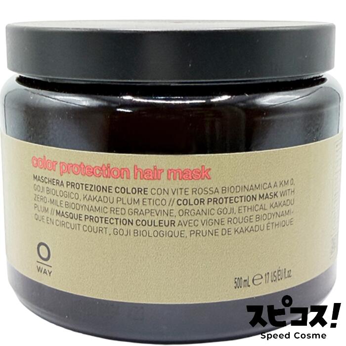 Rakuten - 【最安値に挑戦】 OWAY カラープロテクションヘアマス 500ml 【正規品】