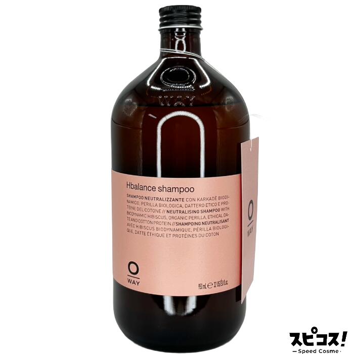 Rakuten - 【最安値に挑戦】 OWAY Hバランスシャンプー 950ml 【正規品】