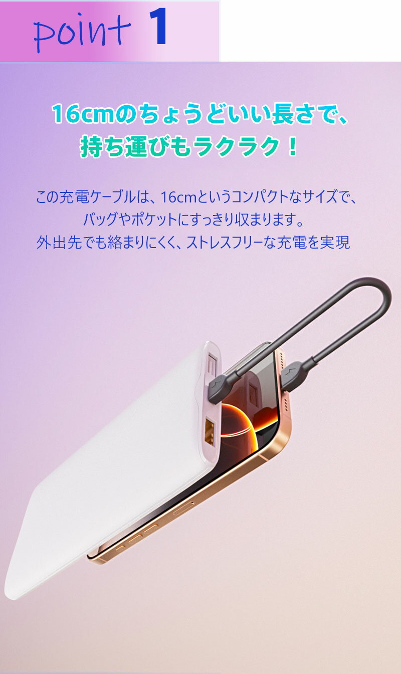 20W 急速充電ケーブル Type-C Lig...の紹介画像2